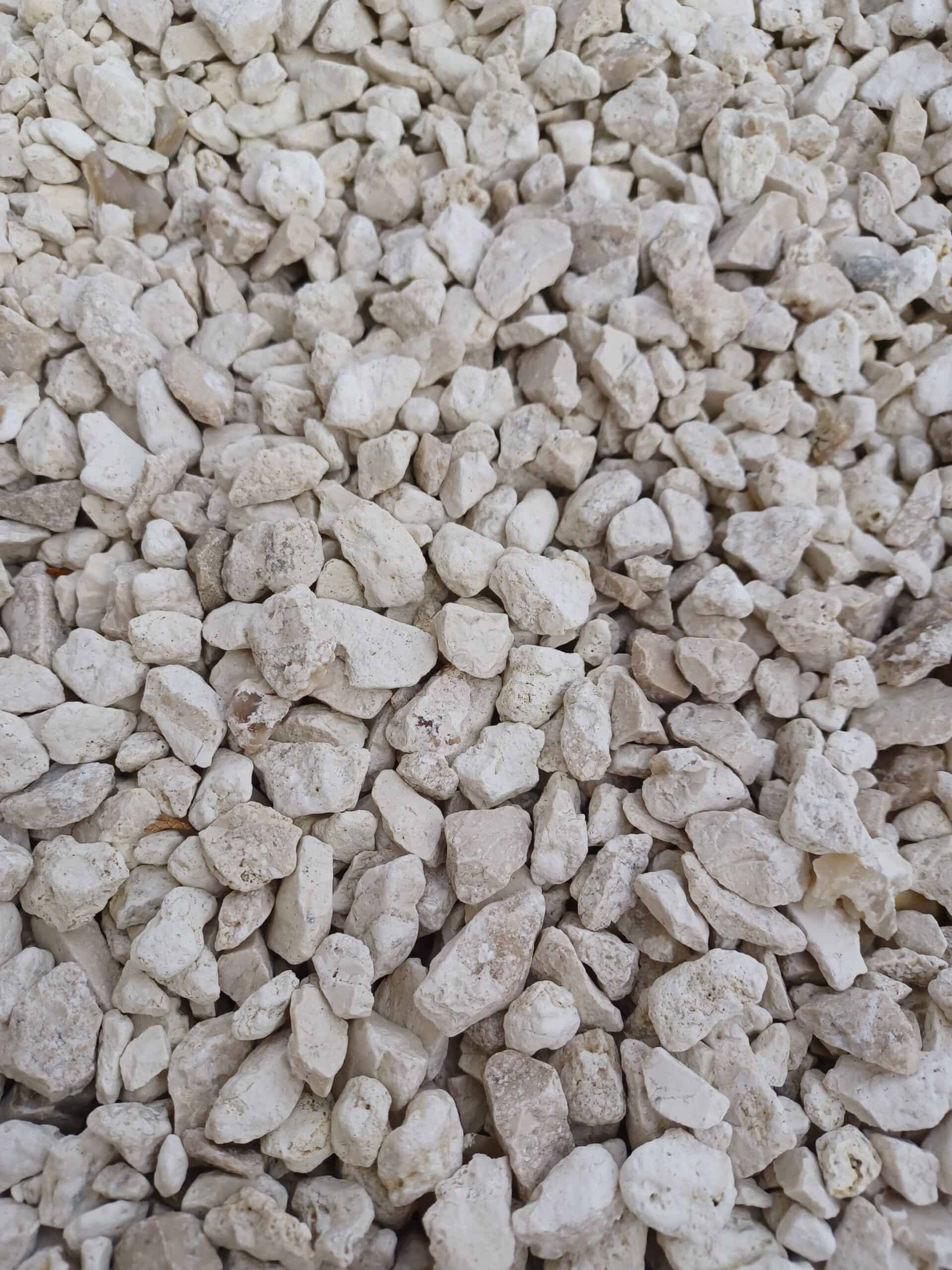 Produits 14 616 blanc scaled